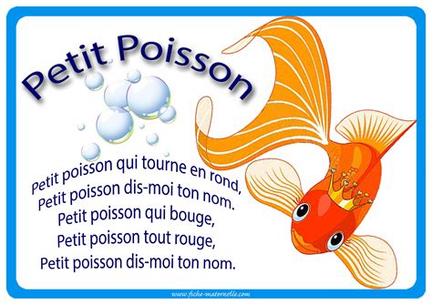  Le Cohérent: Un Poisson Qui Aime Les Choses Claires et Calmes!